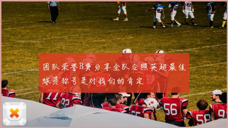 团队荣誉B费分享全队合照英超最佳球员称号是对我们的肯定