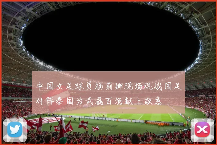 中国女足球员杨莉娜现场观战国足对阵泰国为武磊百场献上敬意