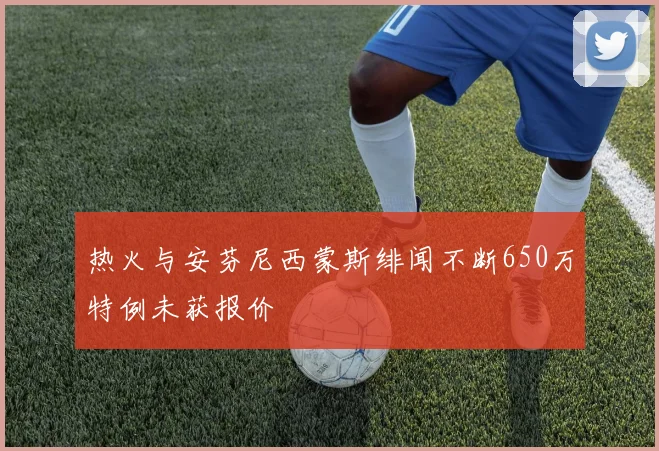 热火与安芬尼西蒙斯绯闻不断650万特例未获报价